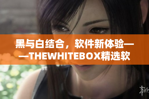 黑与白结合，软件新体验——THEWHITEBOX精选软件