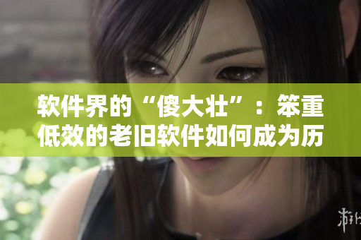 软件界的“傻大壮”：笨重低效的老旧软件如何成为历史吗？