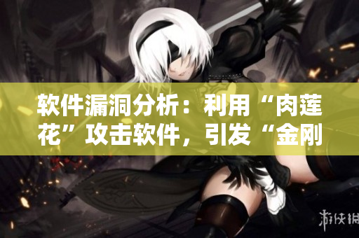 软件漏洞分析：利用“肉莲花”攻击软件，引发“金刚杵”效应