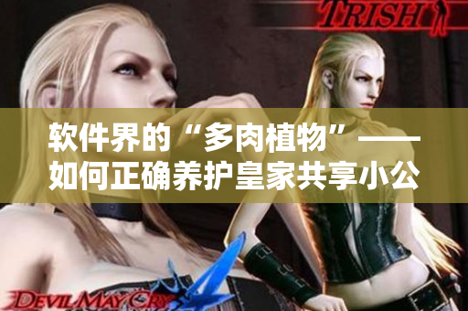 软件界的“多肉植物”——如何正确养护皇家共享小公主软件？