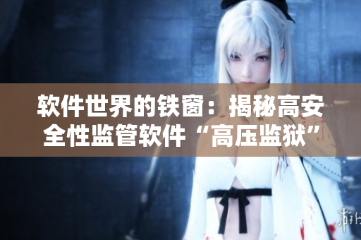 软件世界的铁窗：揭秘高安全性监管软件“高压监狱”
