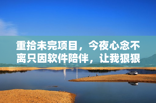 重拾未完项目，今夜心念不离只因软件陪伴，让我狠狠想你