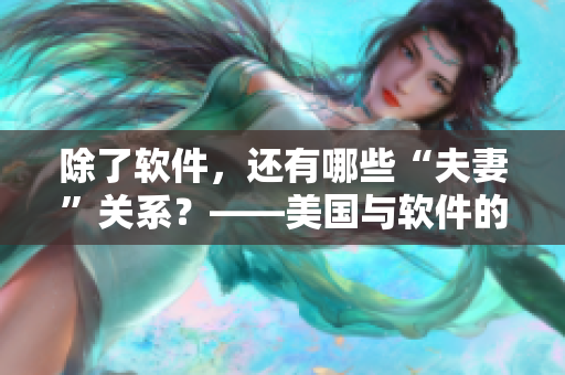 除了软件，还有哪些“夫妻”关系？——美国与软件的故事