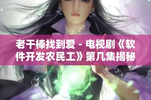老干棒找到爱 - 电视剧《软件开发农民工》第几集揭秘