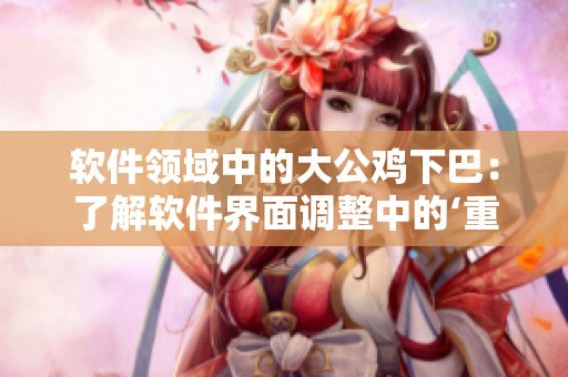 软件领域中的大公鸡下巴：了解软件界面调整中的‘重量级控件’
