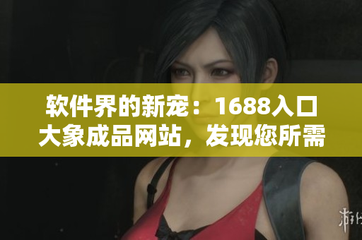 软件界的新宠：1688入口大象成品网站，发现您所需的一切软件资源！