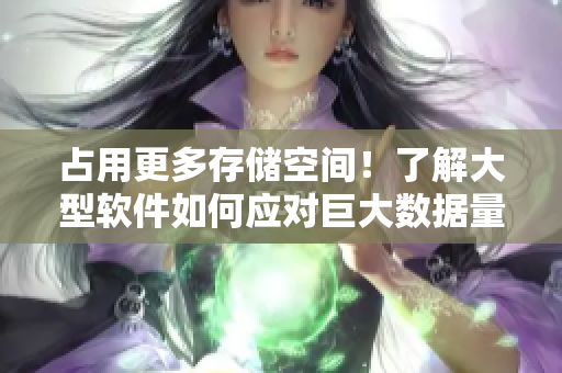 占用更多存储空间！了解大型软件如何应对巨大数据量？