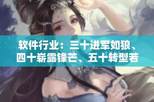 软件行业：三十进军如狼、四十崭露锋芒、五十转型若虎