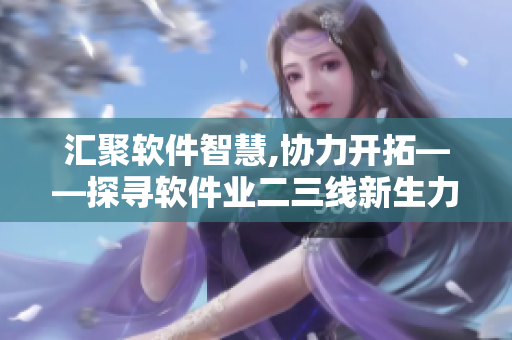 汇聚软件智慧,协力开拓——探寻软件业二三线新生力量