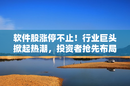 软件股涨停不止！行业巨头掀起热潮，投资者抢先布局