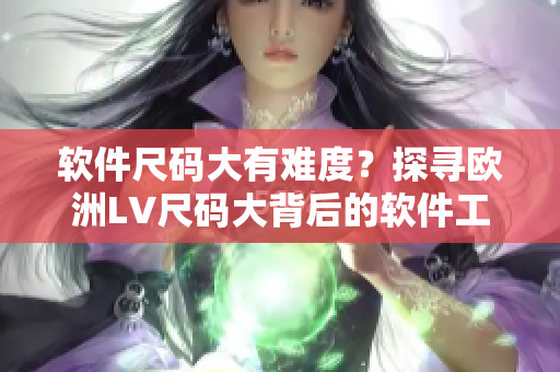 软件尺码大有难度？探寻欧洲LV尺码大背后的软件工程挑战