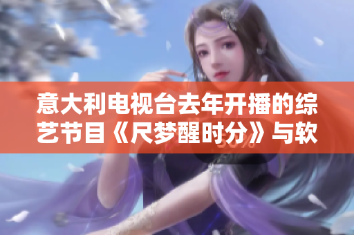 意大利电视台去年开播的综艺节目《尺梦醒时分》与软件有什么关联？