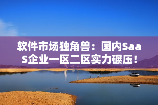 软件市场独角兽：国内SaaS企业一区二区实力碾压！