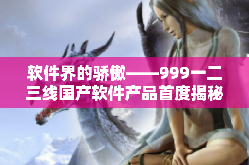 软件界的骄傲——999一二三线国产软件产品首度揭秘！