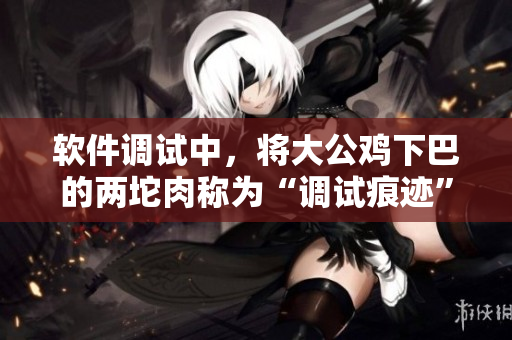 软件调试中，将大公鸡下巴的两坨肉称为“调试痕迹”，如何消除？