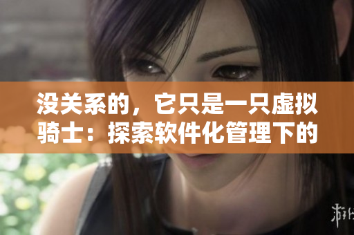 没关系的，它只是一只虚拟骑士：探索软件化管理下的团队文化冲突