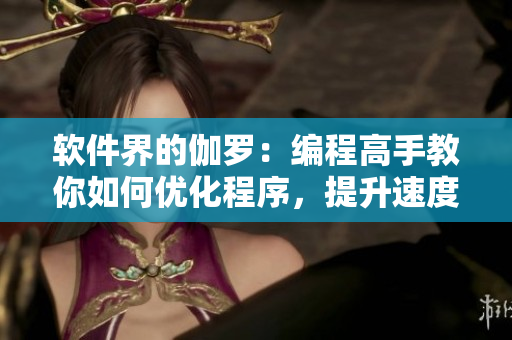 软件界的伽罗：编程高手教你如何优化程序，提升速度！