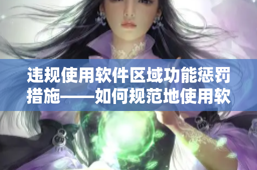 违规使用软件区域功能惩罚措施——如何规范地使用软件区域功能？