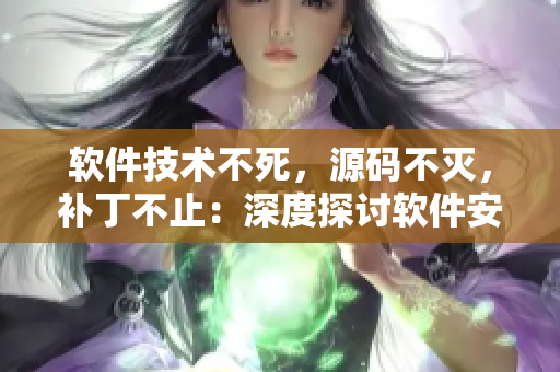 软件技术不死，源码不灭，补丁不止：深度探讨软件安全与稳定性