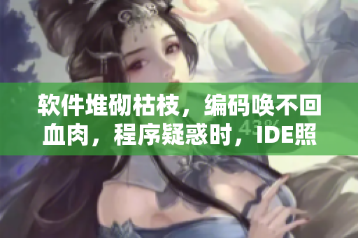 软件堆砌枯枝，编码唤不回血肉，程序疑惑时，IDE照亮前程