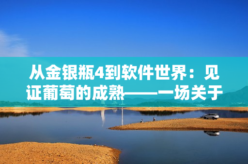 从金银瓶4到软件世界：见证葡萄的成熟——一场关于软件行业发展的思考