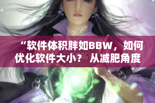 “软件体积胖如BBW，如何优化软件大小？ 从减肥角度探讨软件优化方法”