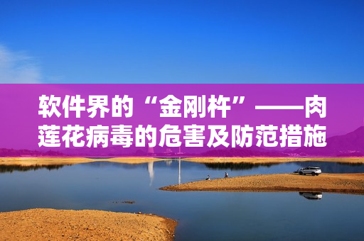 软件界的“金刚杵”——肉莲花病毒的危害及防范措施