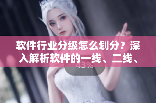 软件行业分级怎么划分？深入解析软件的一线、二线、三线巨头企业！
