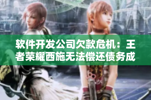 软件开发公司欠款危机：王者荣耀西施无法偿还债务成为警示