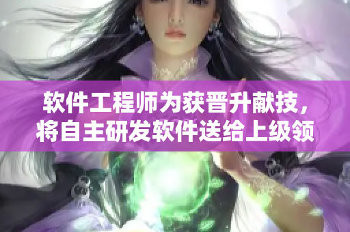 软件工程师为获晋升献技，将自主研发软件送给上级领导