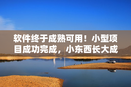 软件终于成熟可用！小型项目成功完成，小东西长大成为实现梦想的得力工具