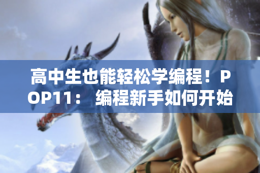 高中生也能轻松学编程！POP11： 编程新手如何开始入门