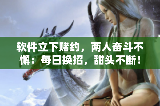软件立下赌约，两人奋斗不懈：每日换招，甜头不断！