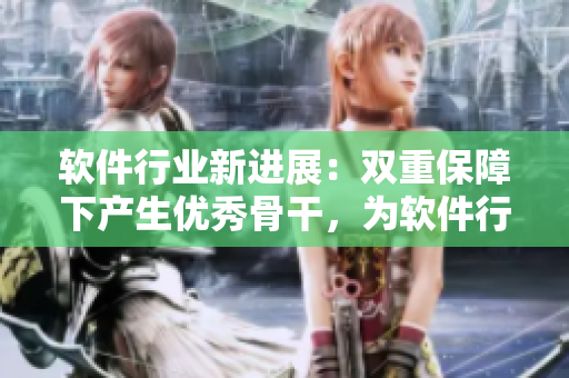 软件行业新进展：双重保障下产生优秀骨干，为软件行业注入新活力
