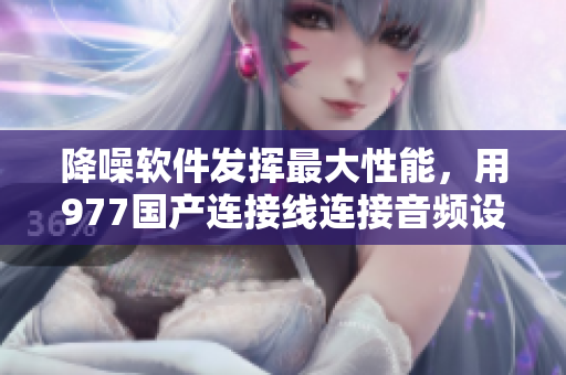 降噪软件发挥最大性能，用977国产连接线连接音频设备