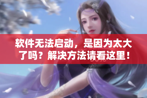 软件无法启动，是因为太大了吗？解决方法请看这里！