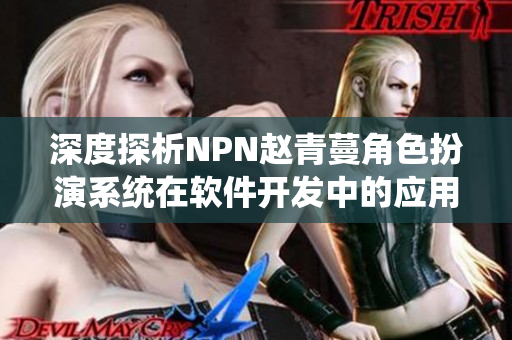 深度探析NPN赵青蔓角色扮演系统在软件开发中的应用及优势