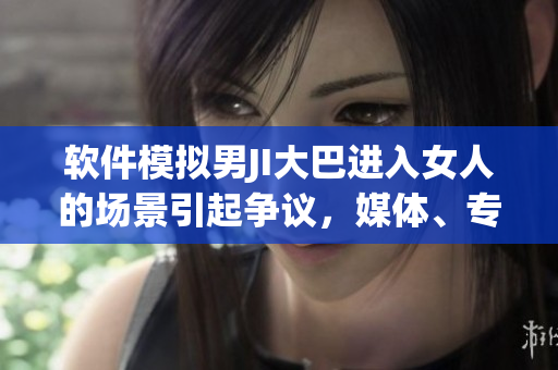 软件模拟男JI大巴进入女人的场景引起争议，媒体、专家纷纷发声