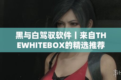 黑与白驾驭软件丨来自THEWHITEBOX的精选推荐