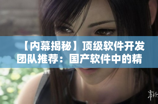 【内幕揭秘】顶级软件开发团队推荐：国产软件中的精华产品！