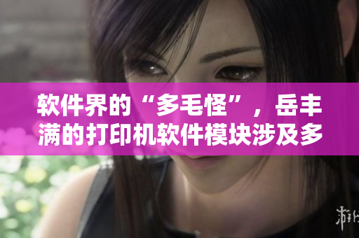 软件界的“多毛怪”，岳丰满的打印机软件模块涉及多达数百万行代码