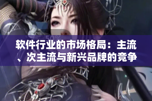 软件行业的市场格局：主流、次主流与新兴品牌的竞争现状与前景分析