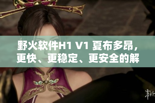 野火软件H1 V1 夏布多昂，更快、更稳定、更安全的解决方案！