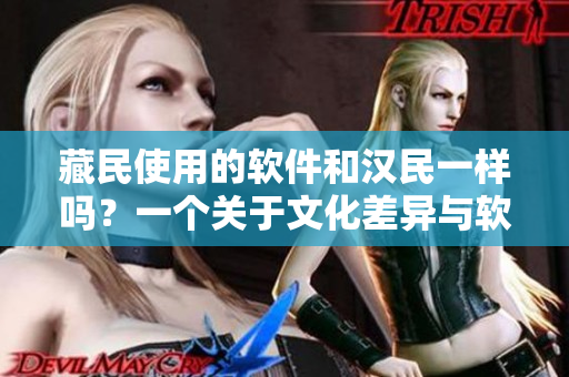 藏民使用的软件和汉民一样吗？一个关于文化差异与软件使用的调查分析