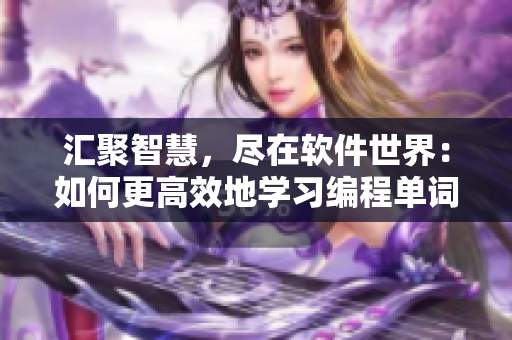 汇聚智慧，尽在软件世界：如何更高效地学习编程单词