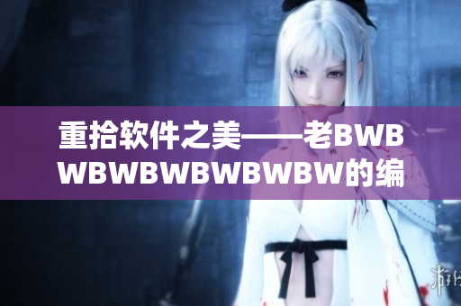 重拾软件之美——老BWBWBWBWBWBWBW的编程故事