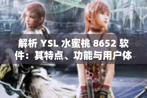 解析 YSL 水蜜桃 8652 软件：其特点、功能与用户体验