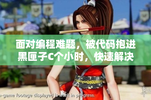 面对编程难题，被代码抱进黑匣子C个小时，快速解决问题的技巧和方法
