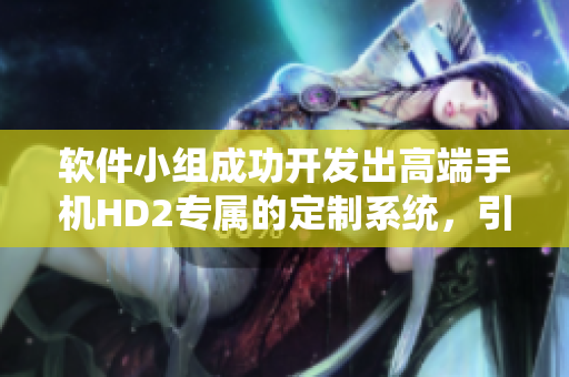 软件小组成功开发出高端手机HD2专属的定制系统，引领市场潮流