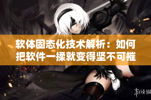 软体固态化技术解析：如何把软件一揉就变得坚不可摧？